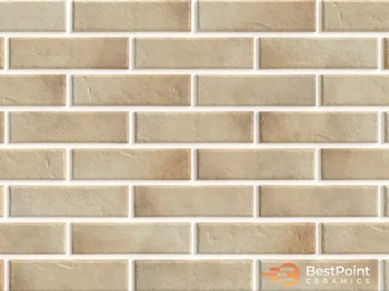 Клинкерная термопанель BestPoint Retro Brick Salt 245 x 65 x 8 мм